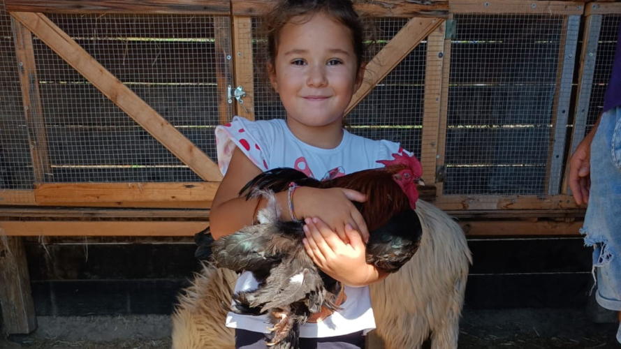 Ein kleines Mädchen lächelt, während es ein Huhn auf einem Bauernhof in Quartucciu hält