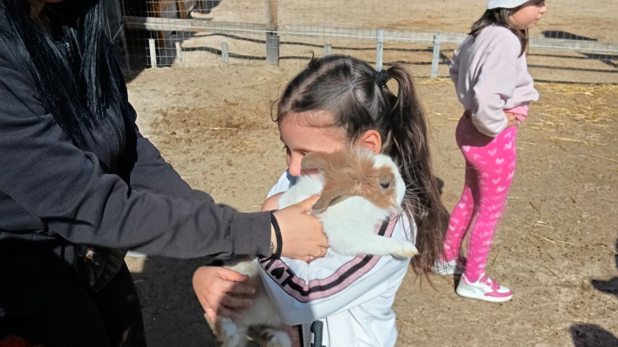Kleines Mädchen umarmt einen Hasen bei einem Besuch auf einem Bauernhof in Cagliari
