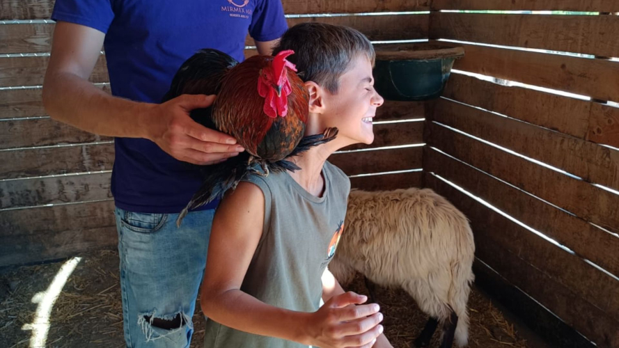 Kind mit einem Huhn auf dem Kopf bei einem Besuch auf dem Bauernhof in Cagliari
