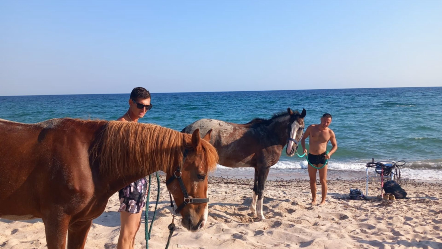 Reiten in Cagliari