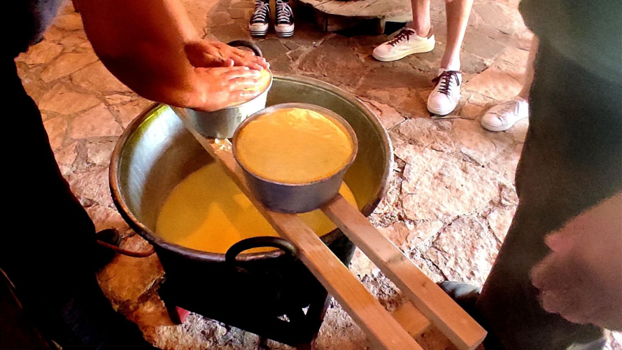 Cheese and ricotta preparation during a guided experience on a farm in north-western Sardinia