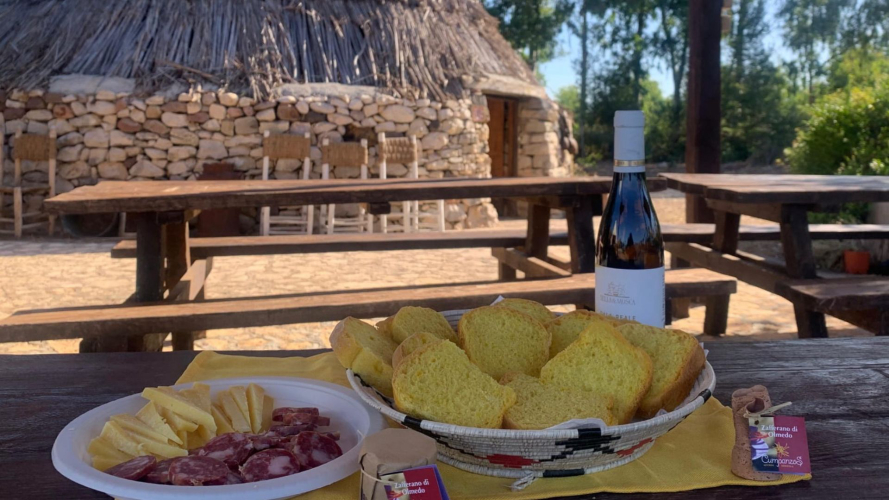 Typical Sardinian tasting with saffron-flavoured bread and cheese during an experience with a shepherd
