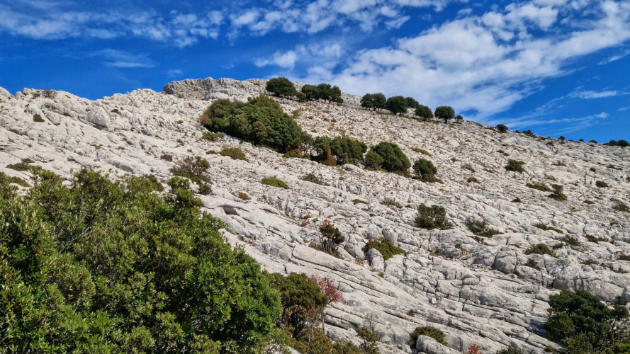 View of Montalbo, Lodè