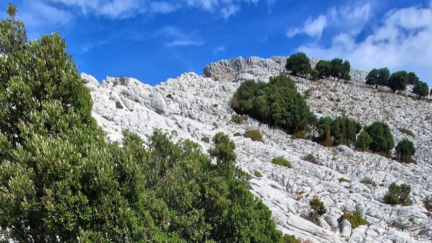 View of Montalbo, Lodè