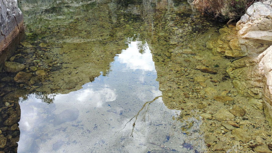 Klares Wasser des Rio Pitrisconi