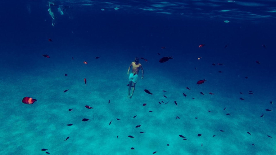 Un uomo nuota nel mare blu dell'Area Marina Protetta di Tavolara
