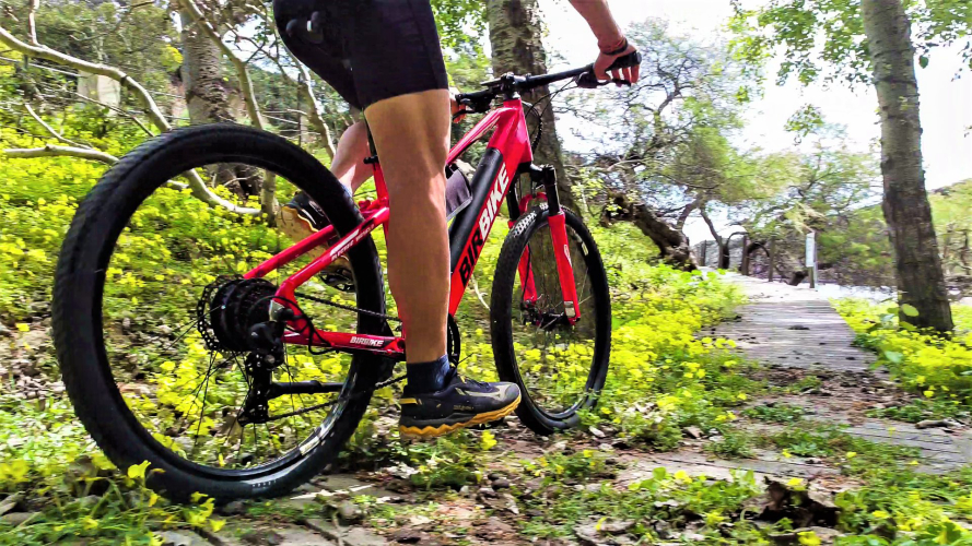 Turista in bici elettrica all'Asinara