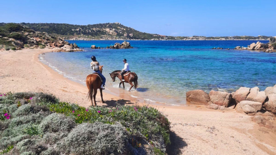 Kristallklares Meer des Archipels von La Maddalena