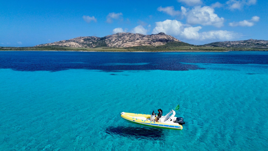 Inflatable boat tours in the Asinara National Park