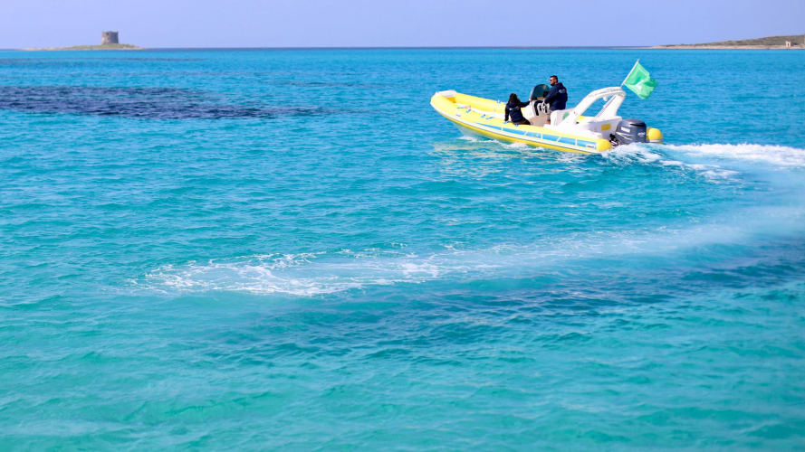 Rubber dinghy sails in the sea of the Asinara National Park