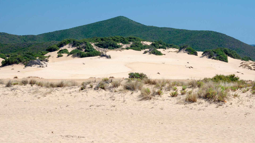 Dünen von Piscinas an der Costa Verde