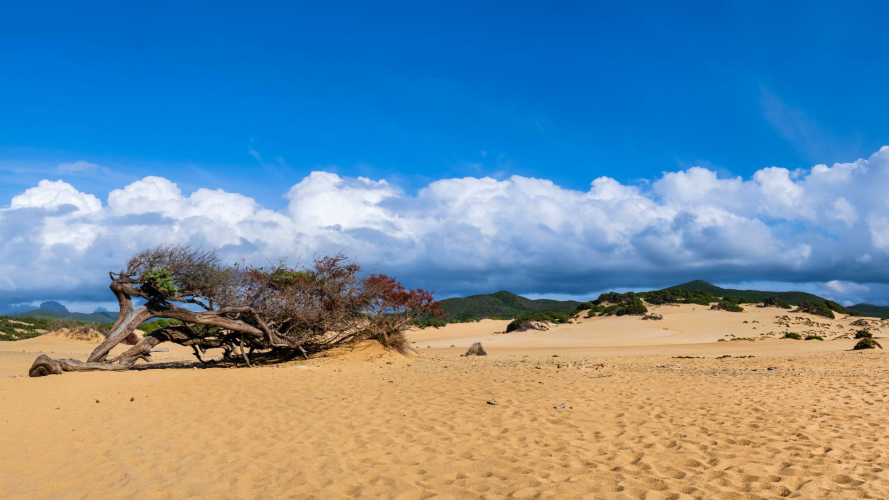 Strand von Piscinas an der Südwestküste Sardiniens