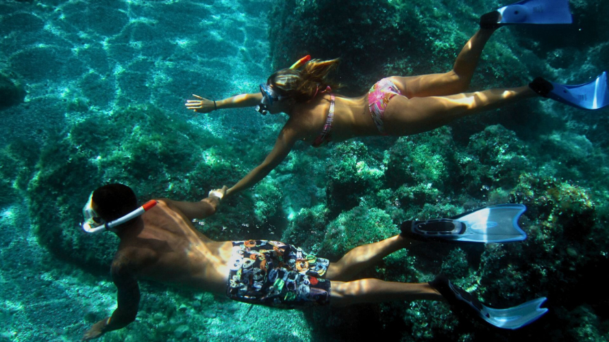 Excursion de snorkeling et d'épaves sous-marines à Tavolara