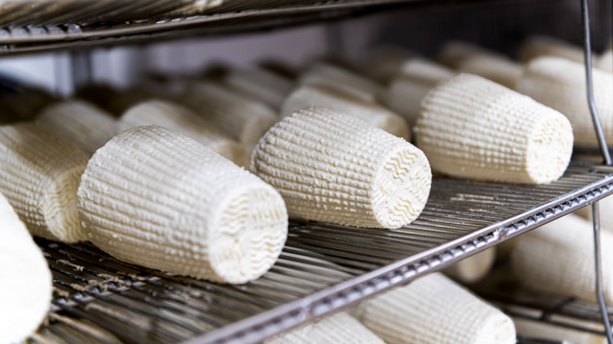 Una piccola forma di ricotta