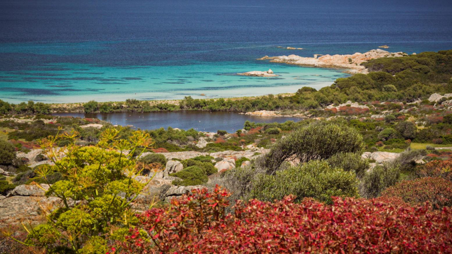 Aperçu de l'Asinara vu depuis le hors-piste pendant le circuit entre mer et rochers