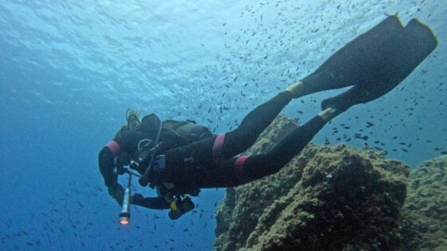 Diving baptism in the seabed of Maria Pia