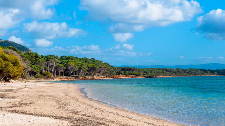 Mugoni beach in northern Sardinia
