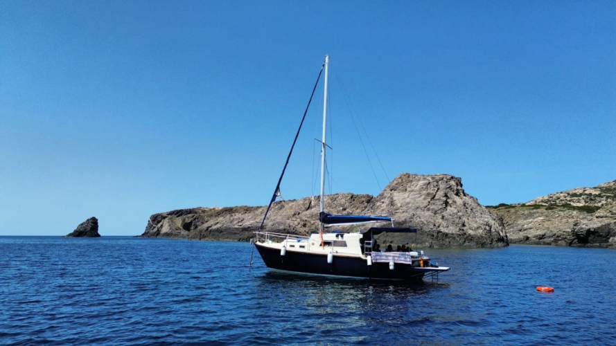 Boat sailing in the crystal clear waters of Stintino
