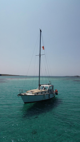 Sailing in the pristine sea of Asinara