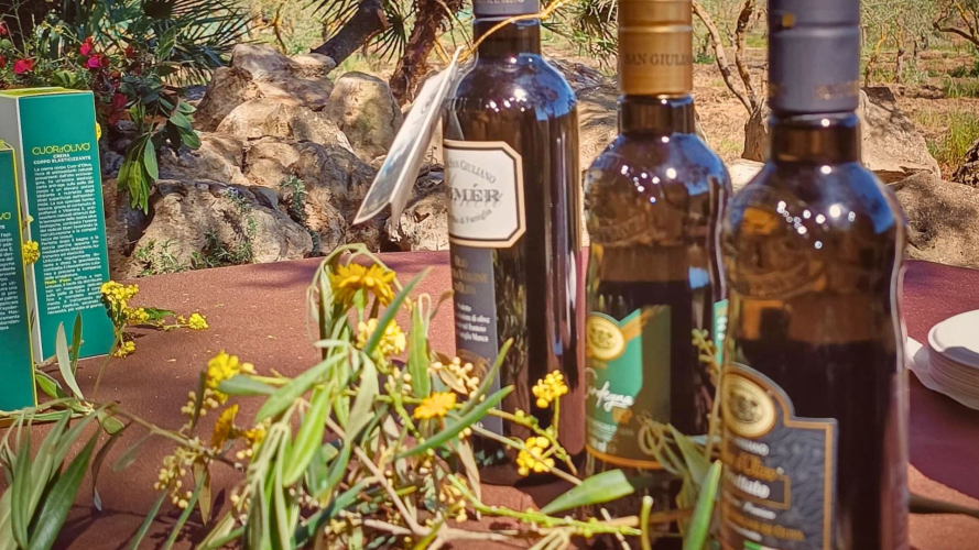 Différents types d'huile produits dans l'oliveraie d'Alghero