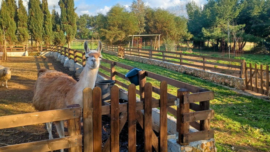 Parco e dintorni al Museo Castrum Romano a Sassari