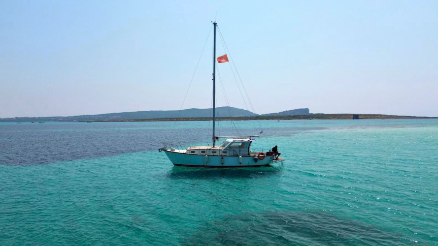 Sailing in the pristine sea of Asinara