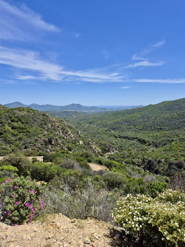 Hilly and wooded landscape in southern Sardinia