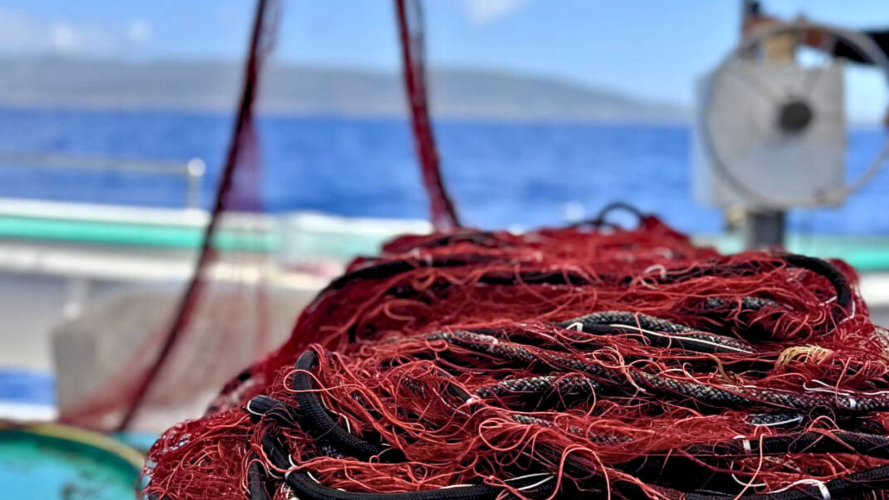 Reti da pesca a bordo della barca durante il tour di pescaturismo all'Asinara