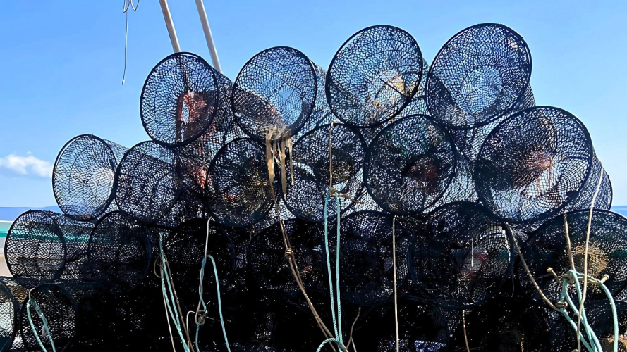Nasse da pesca a bordo della barca durante il tour di pescaturismo all'Asinara