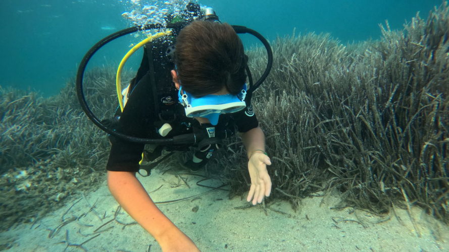 Un garçon explore les fonds marins dans le nord-ouest de la Sardaigne