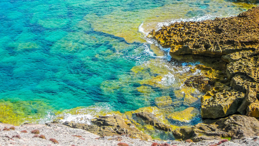 Fonds marins rocheux de la côte nord-ouest de la Sardaigne
