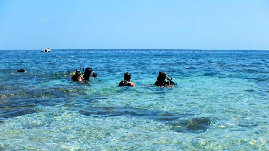 Das kristallklare Wasser des Meeres von Cala Gonone