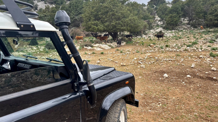 Jeep excursion near Supramonte
