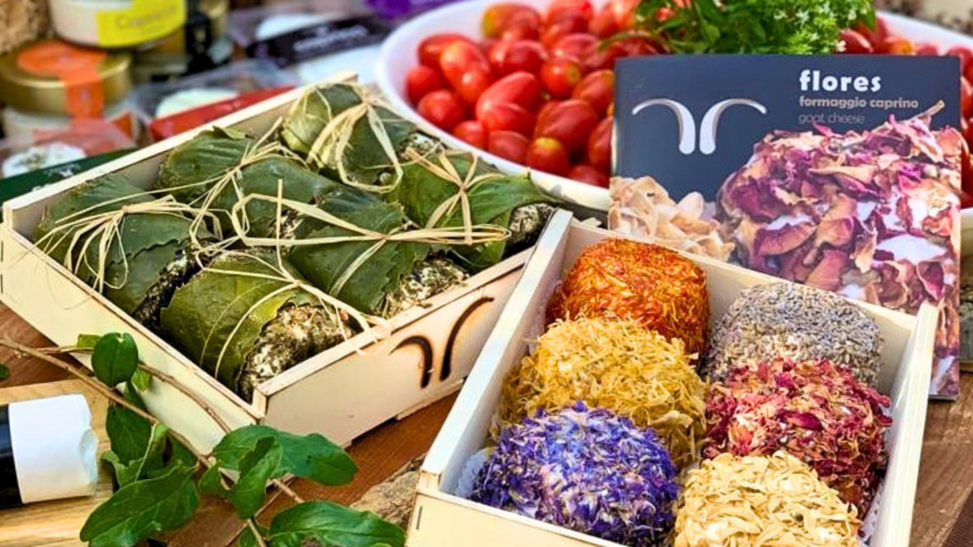 Selection of goat cheeses paired with local products during the tasting in Oliena