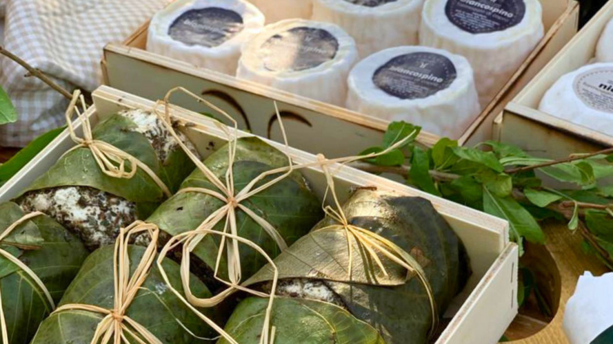 Selection of goat cheeses in Oliena