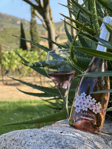 Bouteille de vin rosé de la cave en Gallura
