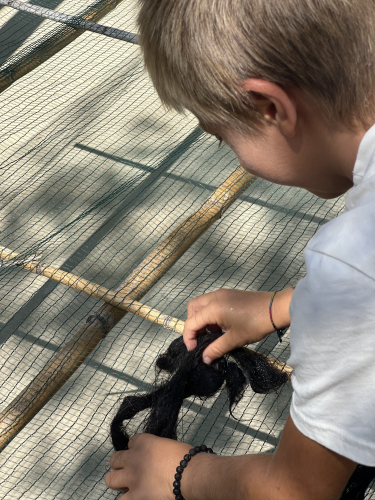 Tessitura della lana nella Sardegna nord orientale
