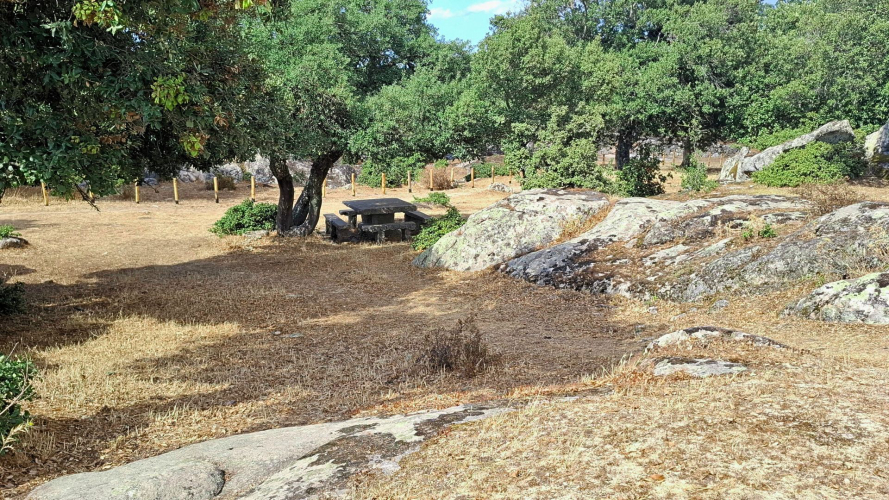 Picnic area at the Loelle site