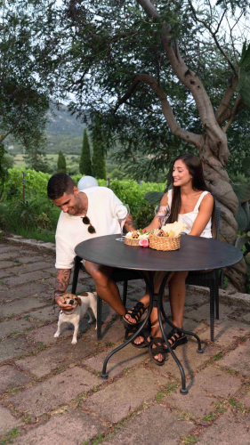 Ospiti curiosi della cantina gallurese vicino Olbia