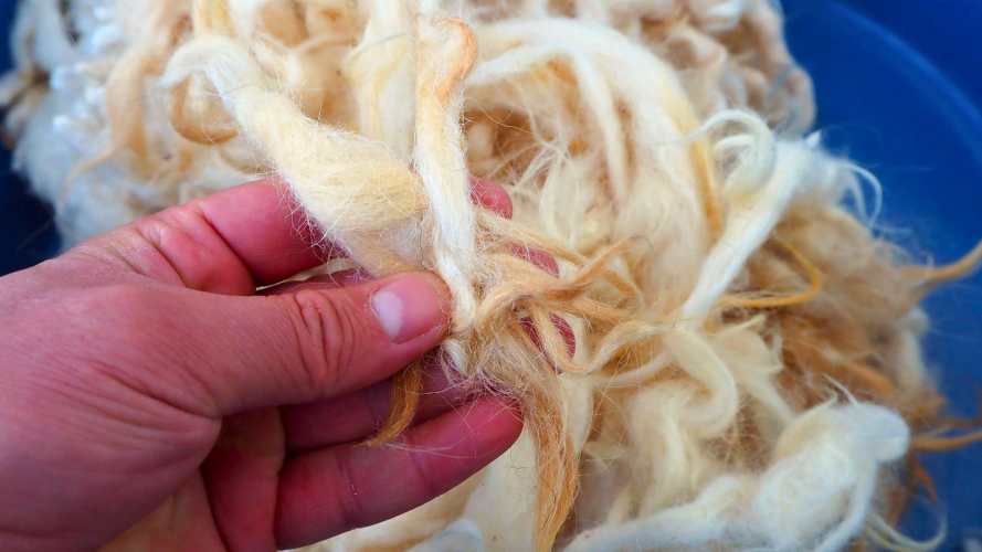 Lana lavorata durante l'esperienza in Gallura