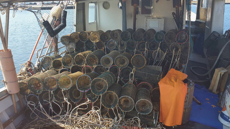 Nasse da pesca usare a bordo dell'imbarcazione durante il tour