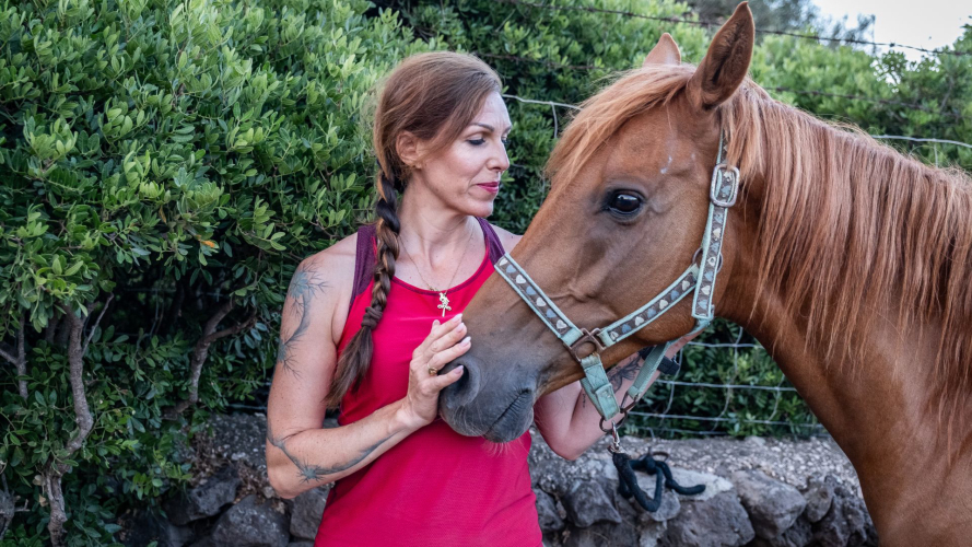 Pferd bei der Rückkehr von der Tour im Golf von Orosei