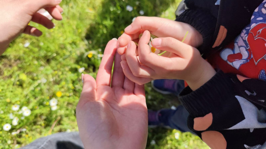 Enfants s'amusant avec des activités à la ferme
