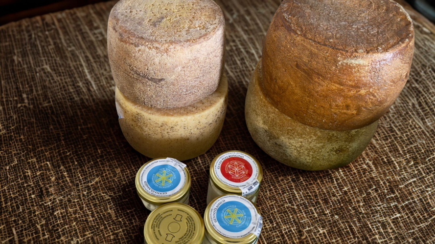 Formaggi realizzati nel caseificio artigianale a due passi da Alghero