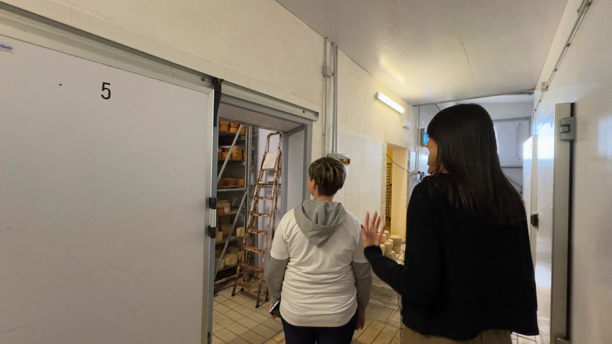 Tour del caseificio artigianale a Villanova Monteleone