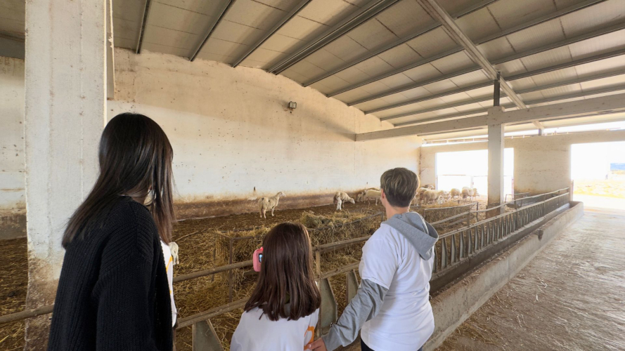 Persone in visita all'azienda agricola a Villanova Monteleone