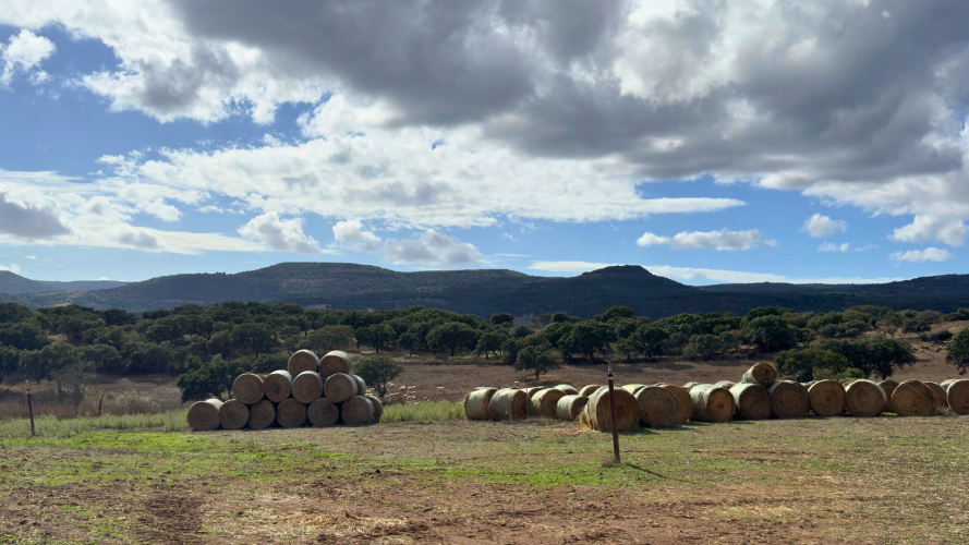 Paesaggio rurale nel territorio di Villanova Monteleone in provincia di Sassari