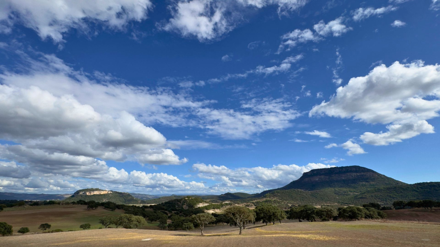 Paesaggio collinare a Villanova Monteleone in provincia di Sassari