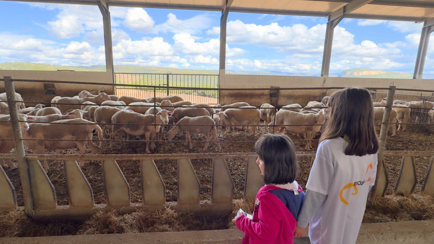 Bambine visitano l'azienda agricola vicino ad Alghero