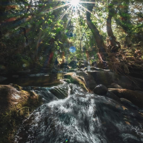 Boschi circostanti l'agriturismo nel nord della Sardegna